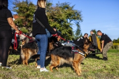 Piknik-Sasiedzki_MG_7806