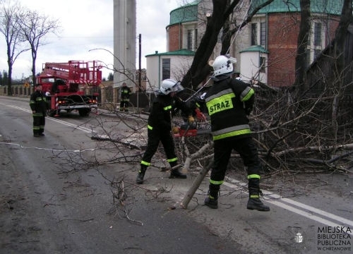 dwóch strażaków usuwających złamane drzewo z ulicy, w tle wóz strażacki, budynek oraz obserwator