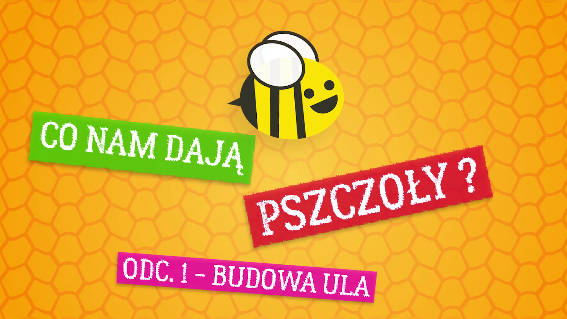 Co nam dają pszczoły ? Odc. 1 – budowa ula