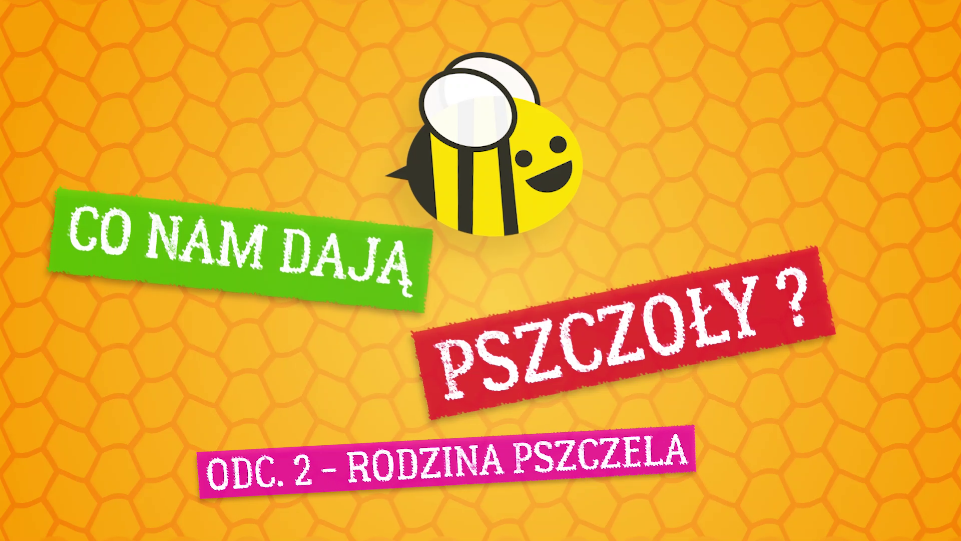 Co nam dają pszczoły ? Odcinek 2 – rodzina pszczela