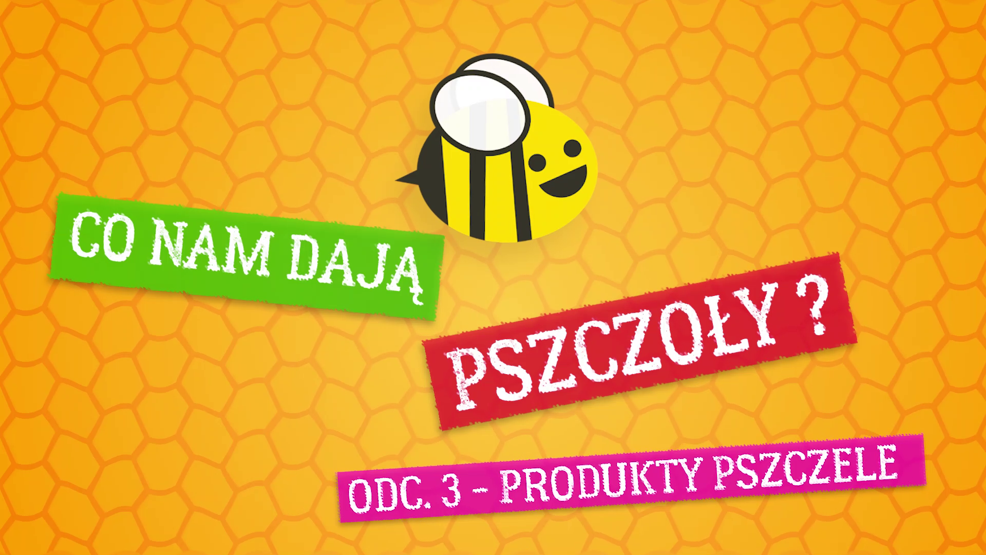 Co nam dają pszczoły ? Odcinek 3 – produkty pszczele