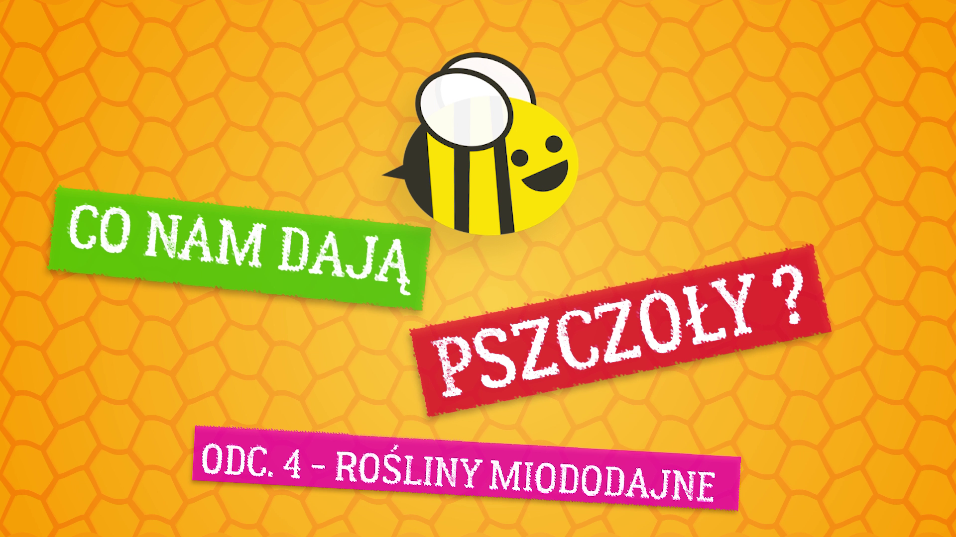 Co nam dają pszczoły ? Odcinek 4 – rośliny miododajne