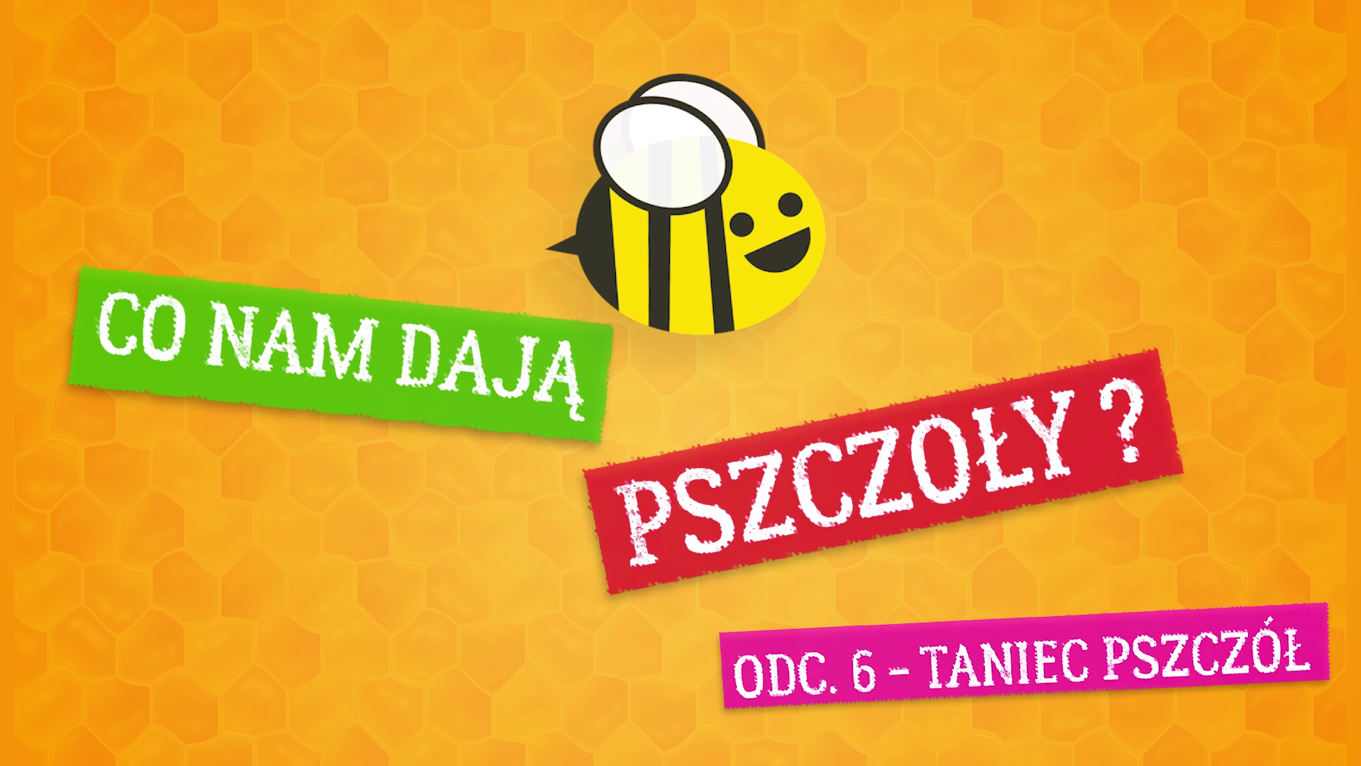 Co nam dają pszczoły? Odcinek 6 – taniec pszczół